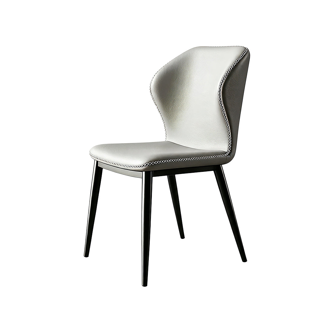 Hector carbon steel dining chairs (set of two)