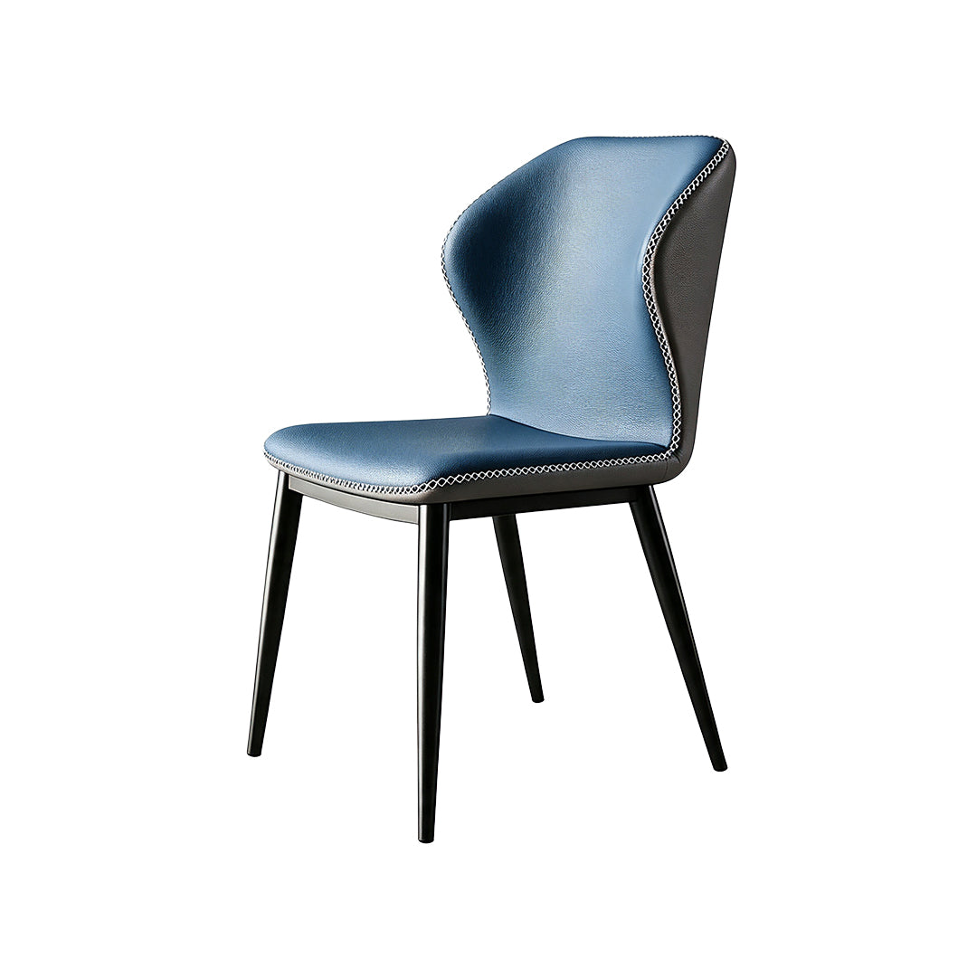 Hector carbon steel dining chairs (set of two)