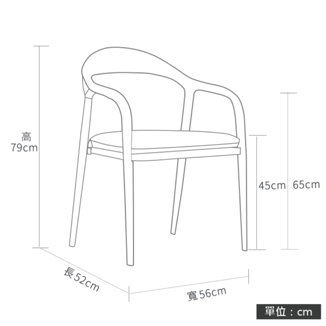 Hiro II 實木扶手椅子 (兩張套裝)
