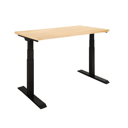 Zenox Clerical Series Office Desk Stationary Edition 